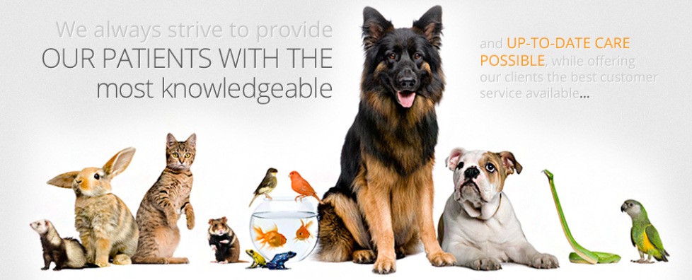 We strive to provide our patients with most knowledgeable and up-to-date care possible